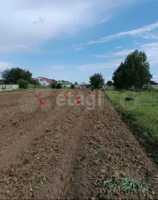 Участок в Амурская область, Благовещенский район, с. Усть-Ивановка ... - Фото 1