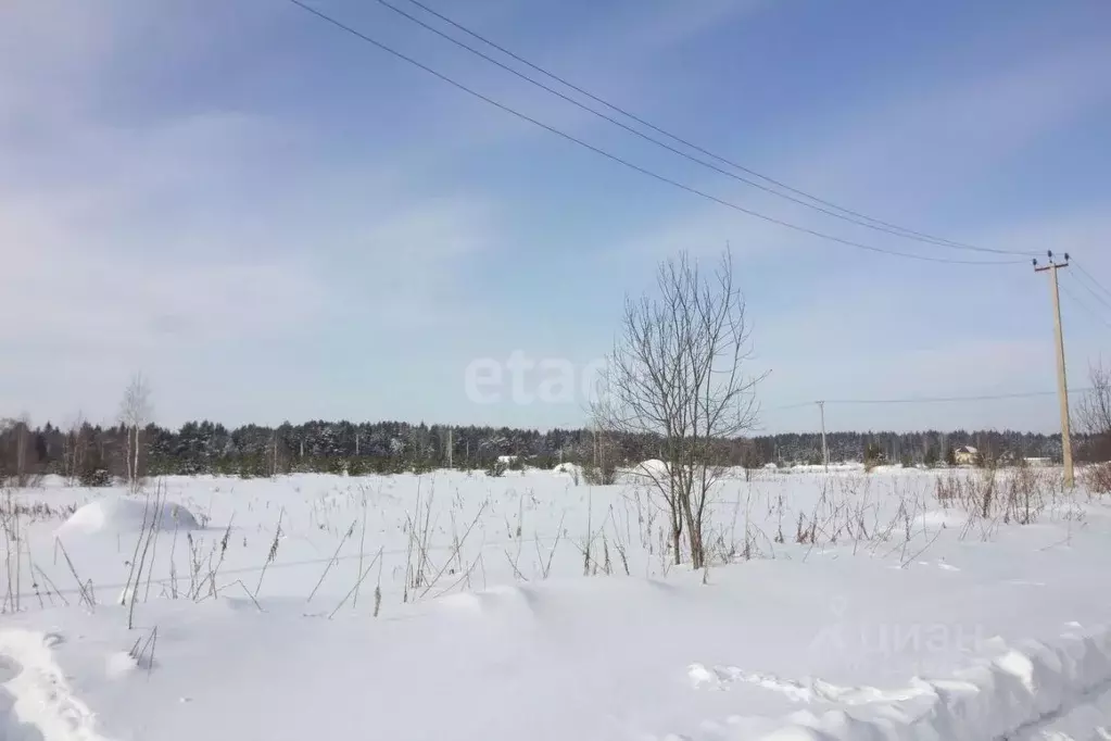 Участок в Свердловская область, Горноуральский городской округ, с. ... - Фото 0