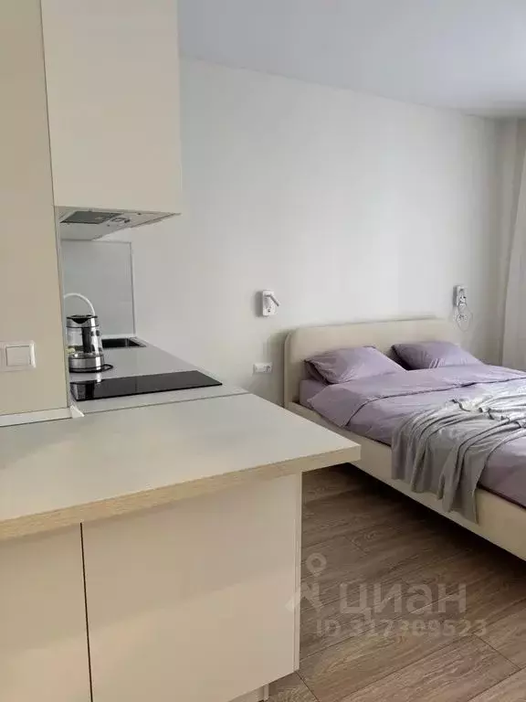 Студия Татарстан, Казань ул. Родины, 26А (30.0 м) - Фото 0