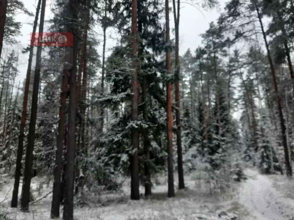 Участок в Рязанская область, Рязанский муниципальный округ, пос. ... - Фото 1