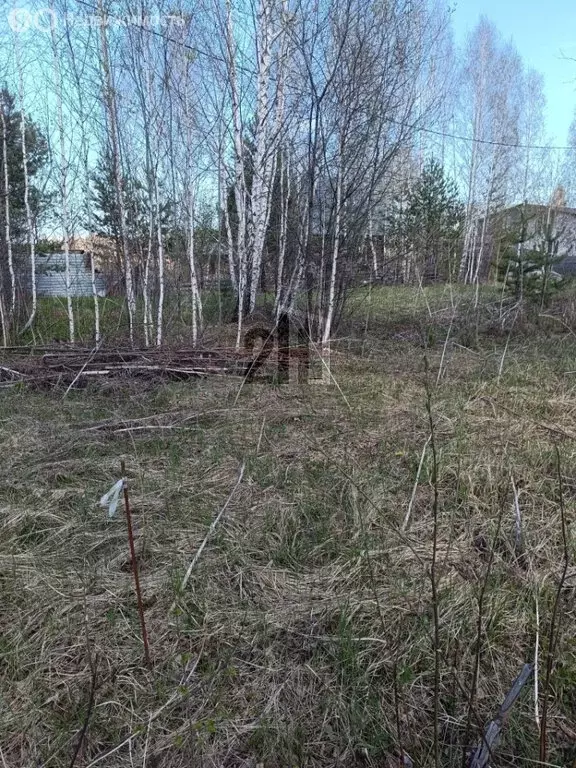 Участок в Свердловская область, Белоярский муниципальный округ, ... - Фото 1