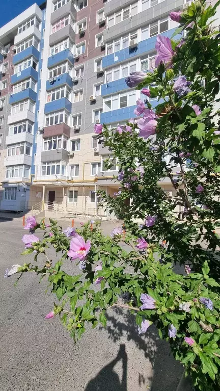 Продаётся 1-к квартира, 36 м - Фото 0