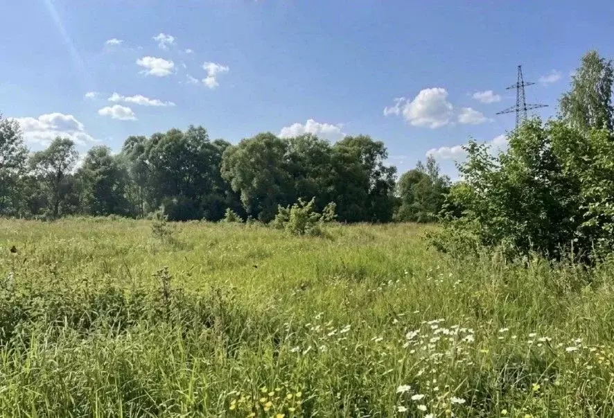 Участок в Московская область, Серпухов городской округ, д. Новики  ... - Фото 1