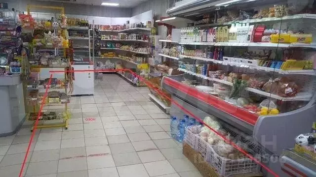 Торговая площадь в Ханты-Мансийский АО, Нефтеюганский район, ... - Фото 2
