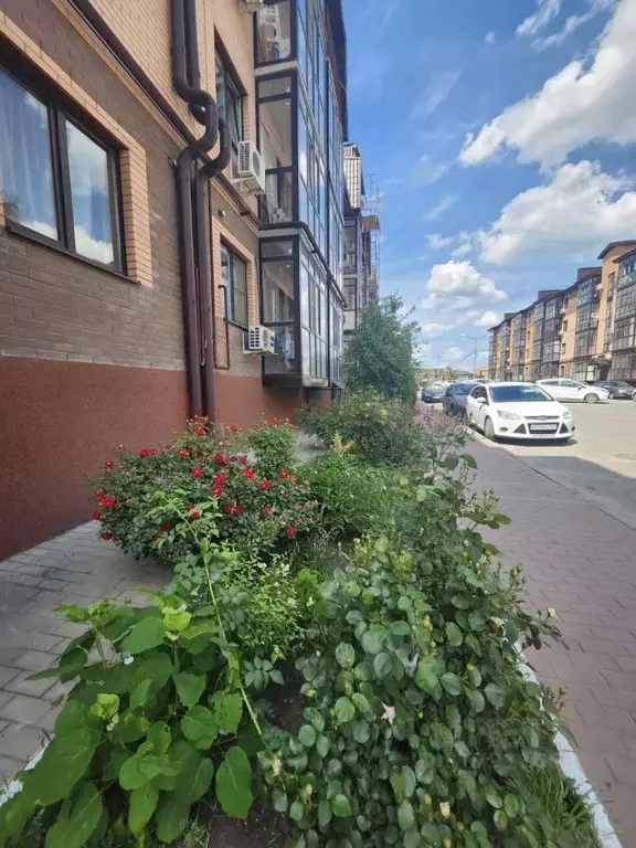 1-к кв. Ростовская область, Новочеркасск Сарматская ул. (34.4 м) - Фото 0