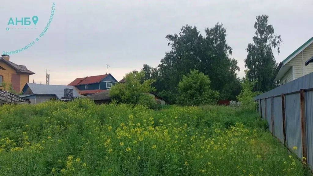 Участок в Новосибирская область, Новосибирский район, с. Боровое ул. ... - Фото 0