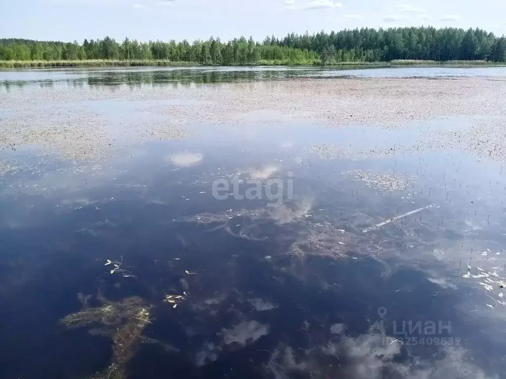 Дом в Свердловская область, Невьянский муниципальный округ, ... - Фото 1
