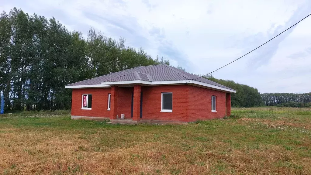 Коттедж в Башкортостан, Уфимский район, Дмитриевский сельсовет, д. ... - Фото 1