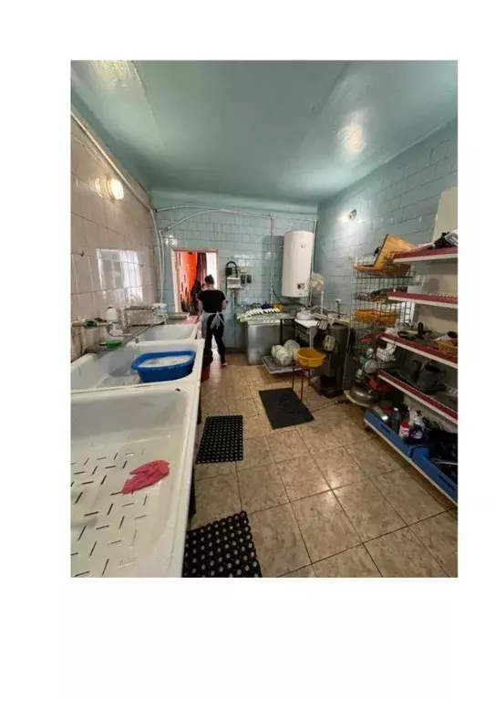 Помещение свободного назначения в Новосибирская область, Новосибирский ... - Фото 2