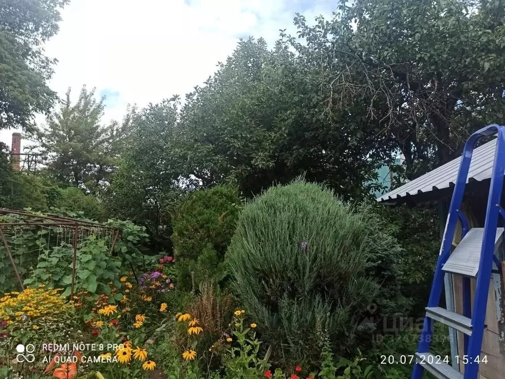 Участок в Пензенская область, Пенза пер. 2-й Березовский, 23 (9.4 ... - Фото 2