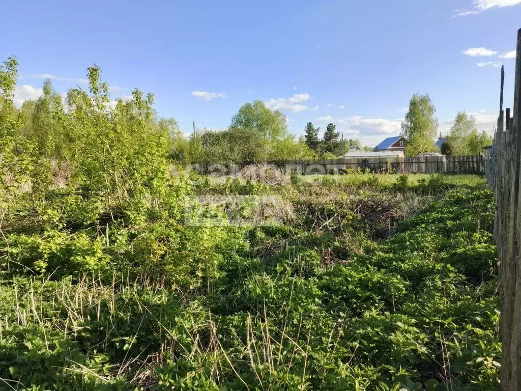 Участок в Нижегородская область, Бор муниципальный округ, пос. ... - Фото 2