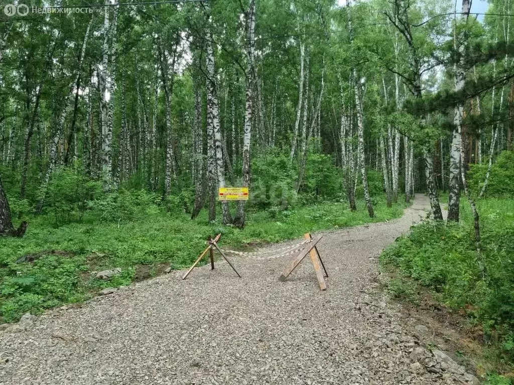 Участок в Кемеровский муниципальный округ, деревня Журавлёво (9.7 м) - Фото 0