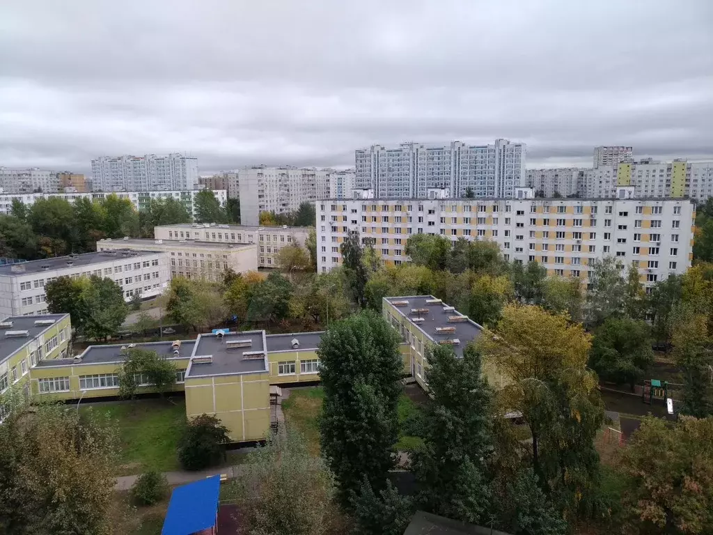2-к. квартира, 46 м, 11/12 эт. - Фото 1