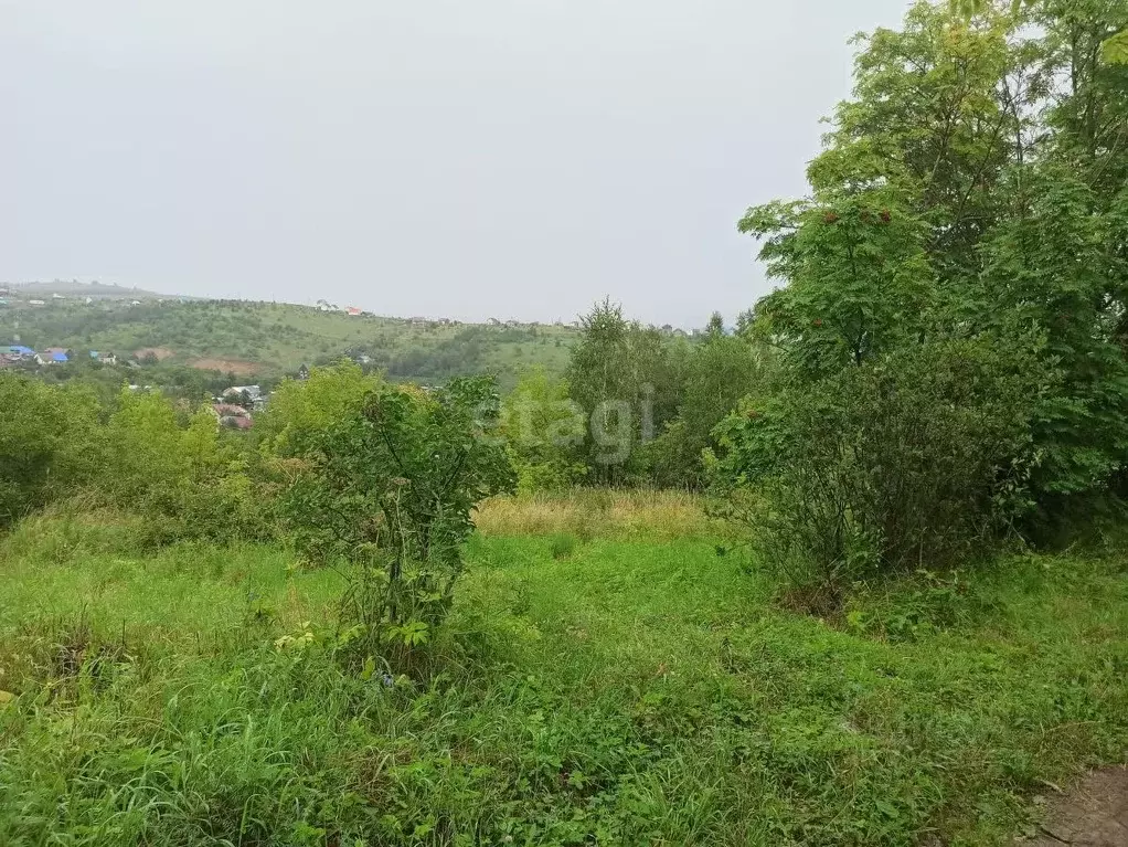 Участок в Алтай, Майминский район, Мичуринец СТ  (4.7 сот.) - Фото 1