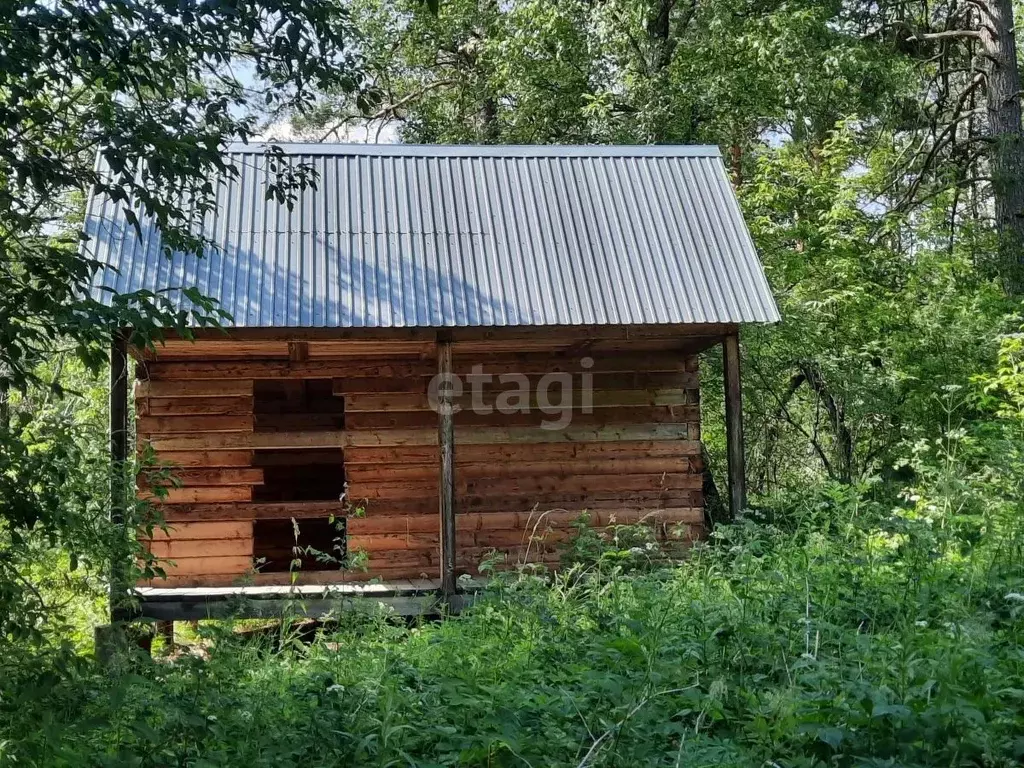 Участок в Алтайский край, Алтайский район, с. Алтайское  (180.0 сот.) - Фото 1