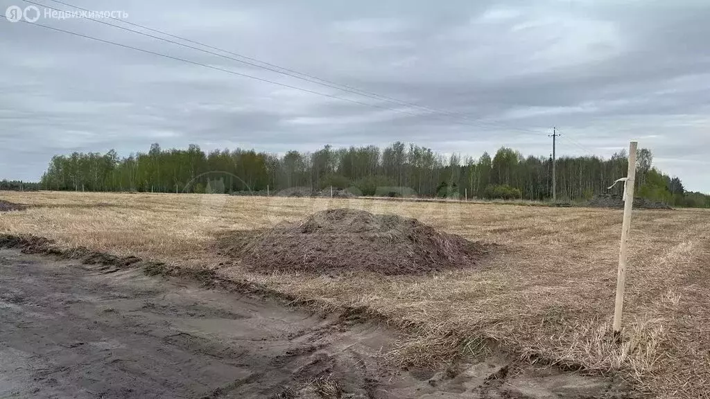 Участок в Свердловская область, Тугулымский муниципальный округ, ... - Фото 0