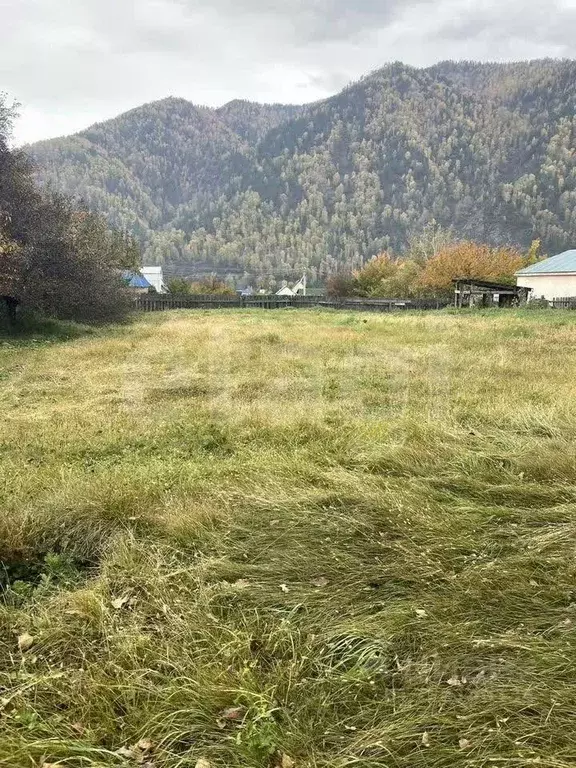 Участок в Алтай, Чемальский район, с. Чемал Полевая ул., 11 (12.69 ... - Фото 0