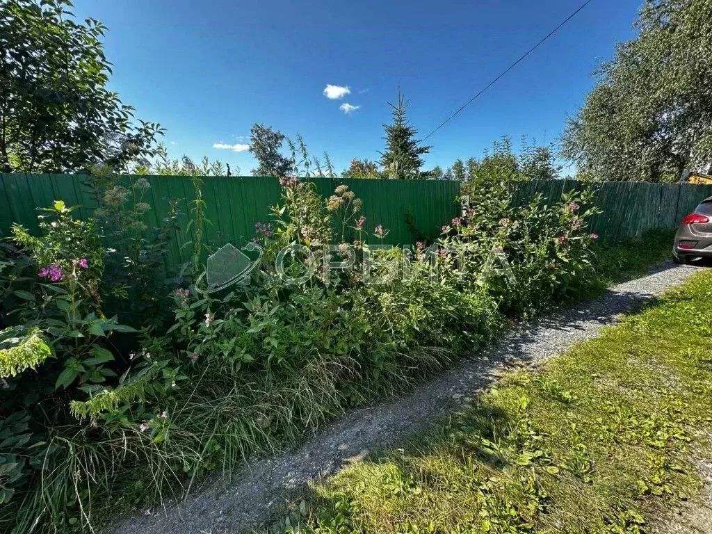 Участок в Тюменская область, Тюмень Автомобилист СНТ, ул. Рябиновая ... - Фото 2