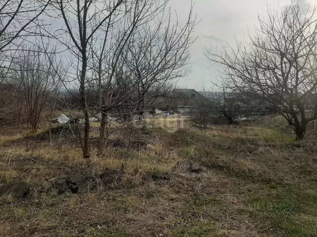Участок в Белгородская область, Волоконовка рп, Сибирь мкр  (13.0 ... - Фото 0