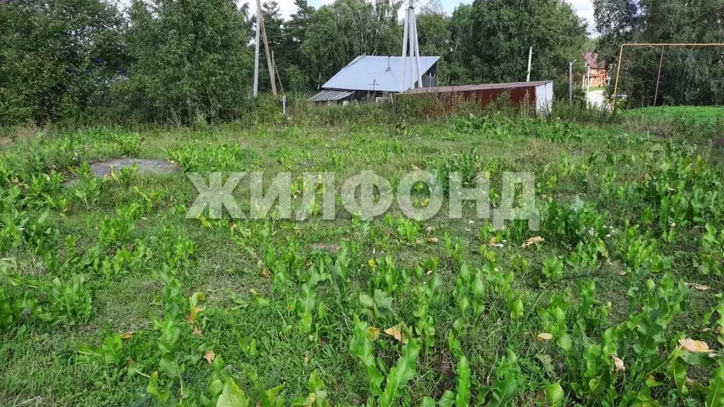 Участок в Новосибирская область, Новосибирский район, Барышевский ... - Фото 1