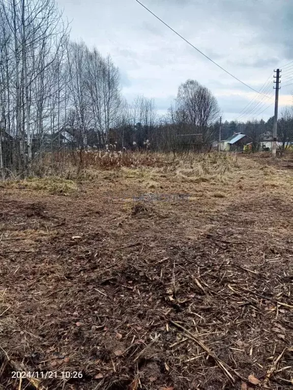 Участок в Нижегородская область, Семеновский городской округ, д. ... - Фото 0