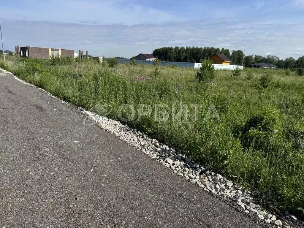 Участок в Тюменская область, Тюменский муниципальный округ, ... - Фото 2