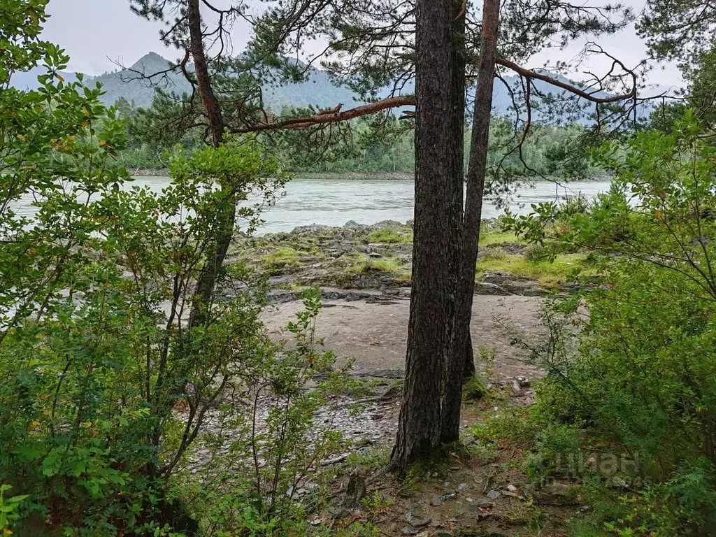 Участок в Алтай, Чемальский район, Элекмонарское с/пос  (54.4 сот.) - Фото 2