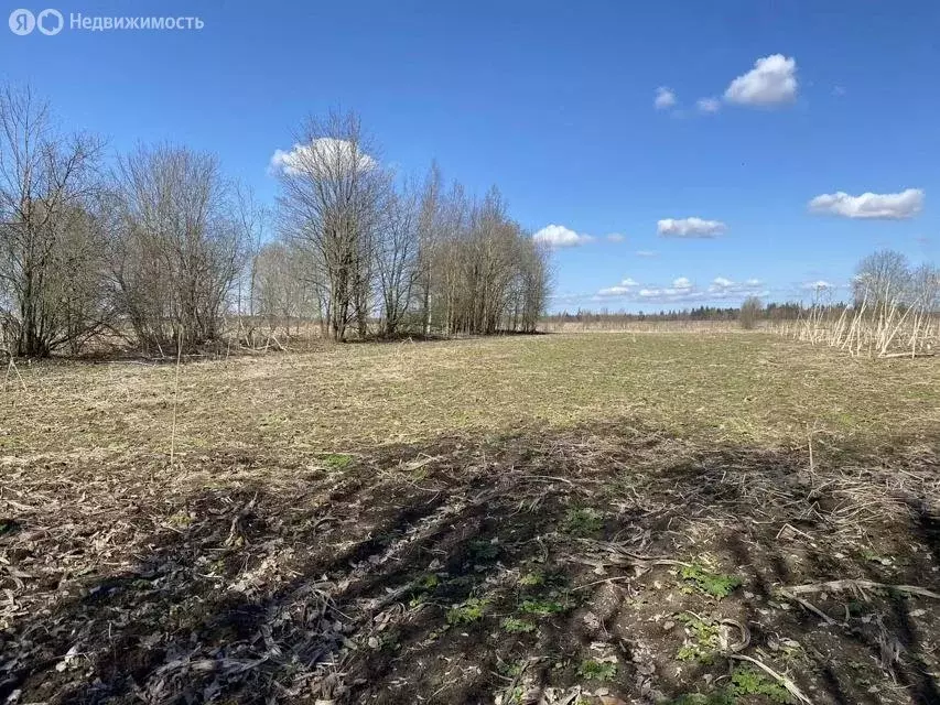 Участок в Волосово, улица Хрустицкого (16.9 м) - Фото 1