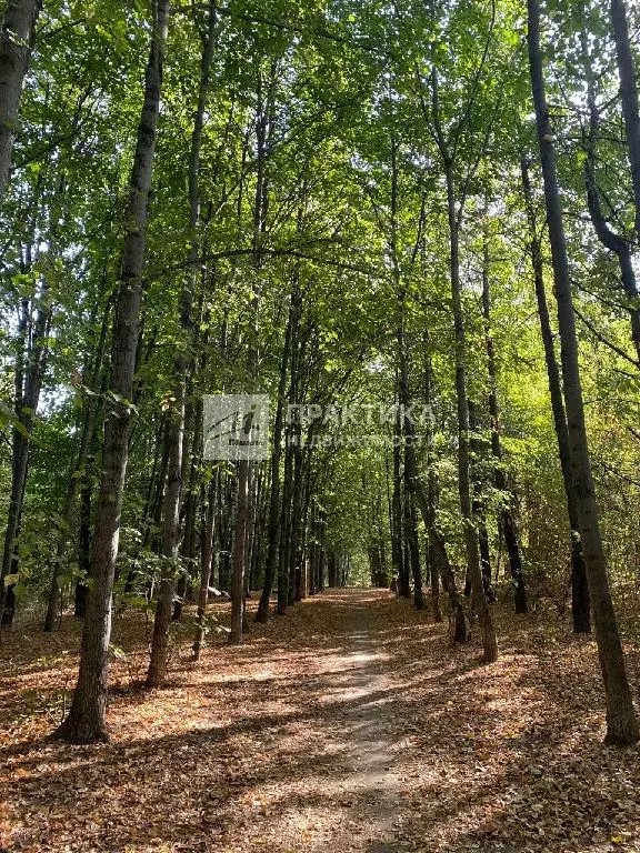 Продается 2-комнатная квартира - Фото 2