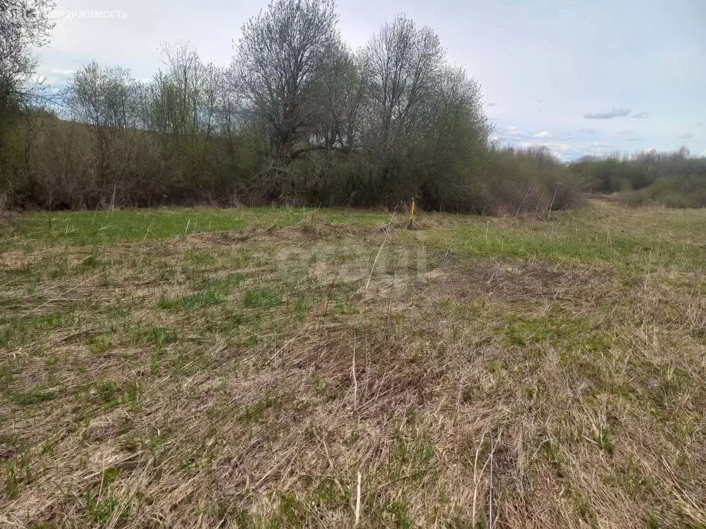 Участок в Сергиево-Посадский городской округ, село Константиново (14.9 ... - Фото 0