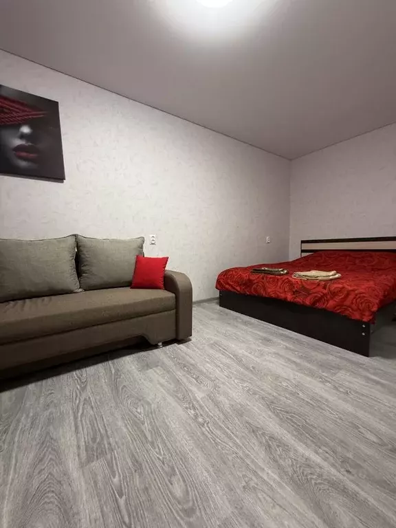 1-к кв. Краснодарский край, Кропоткин Кавказский район, Красная ул., ... - Фото 1