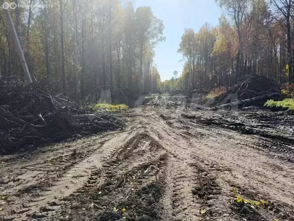 Участок в Тобольск, Красная площадь (10 м) - Фото 1