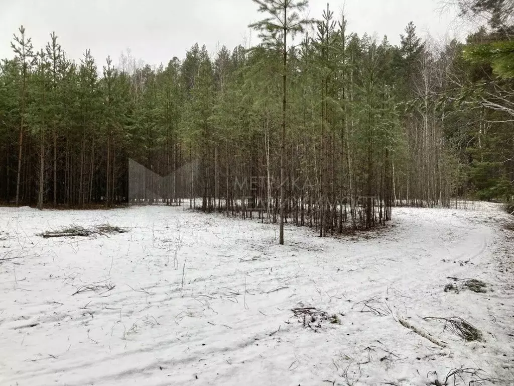 Участок в Тюменская область, Тюменский район, с. Кулига  (10.0 сот.) - Фото 0