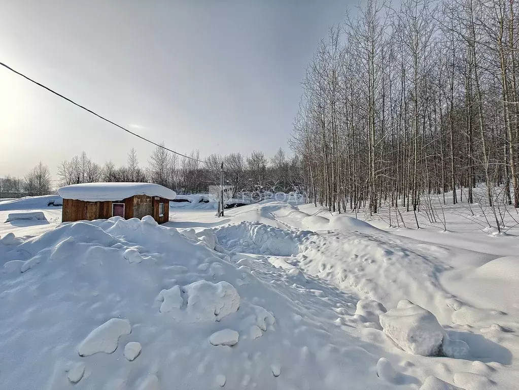 Участок в Новосибирская область, Новосибирский район, с. Раздольное ... - Фото 1