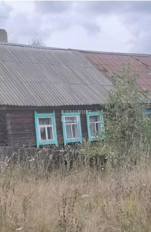 Дом в Марий Эл, Параньгинский район, Илетское с/пос, д. Бирюки ул. ... - Фото 2