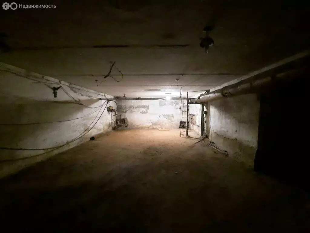 Помещение свободного назначения (30 м) - Фото 1