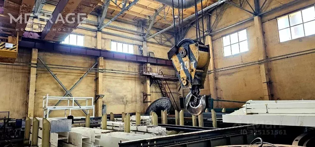 Производственное помещение в Новосибирская область, Новосибирск ул. ... - Фото 1