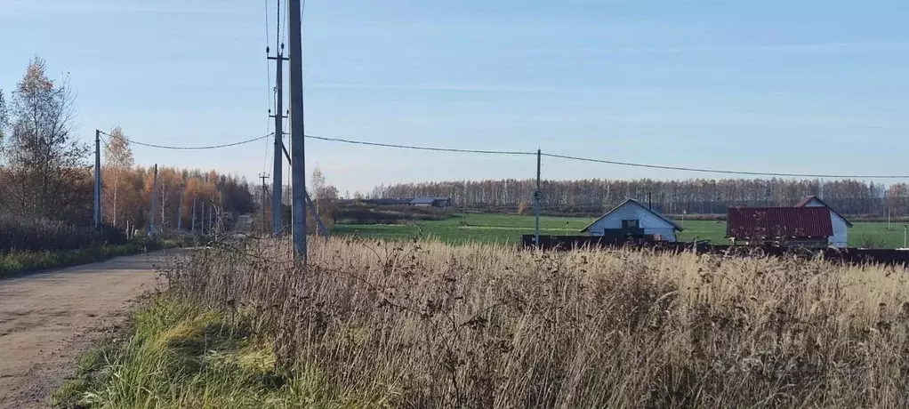 Участок в Ярославская область, Ярославский муниципальный округ, Новые ... - Фото 2