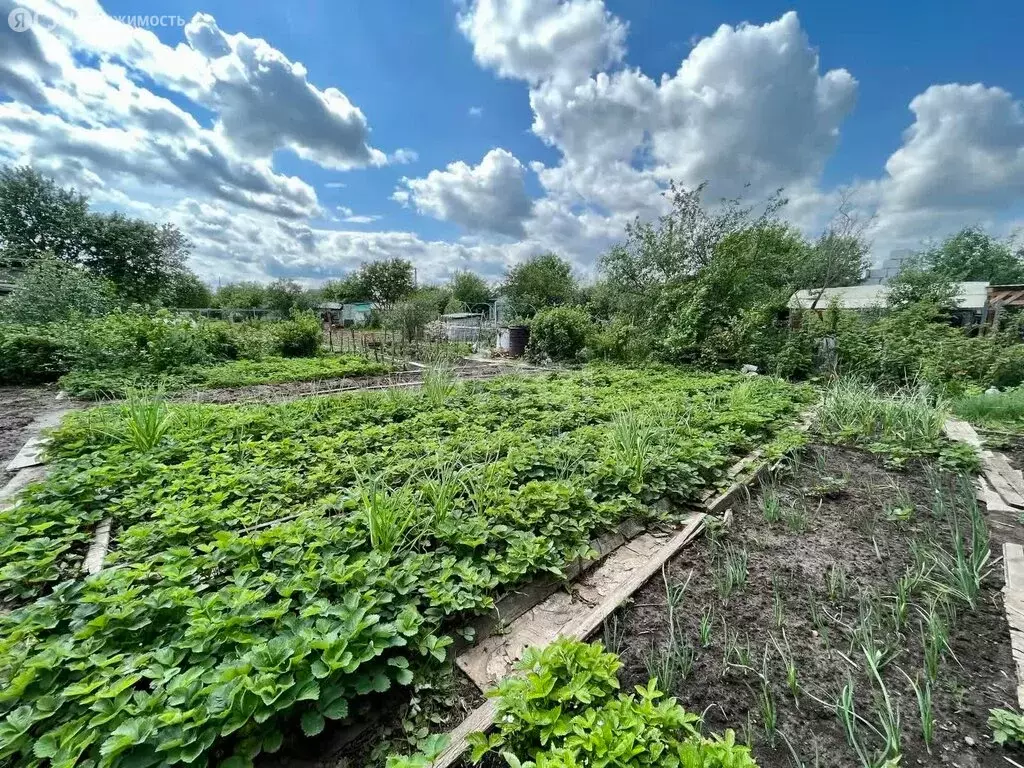 Участок в Йошкар-Ола, садоводческое некоммерческое товарищество ... - Фото 1