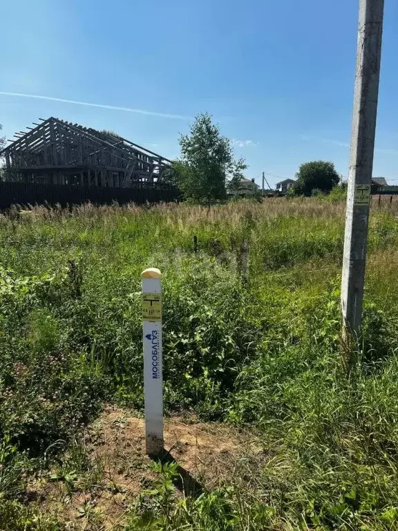 Участок в Московская область, Чехов муниципальный округ, д. Скурыгино  ... - Фото 2