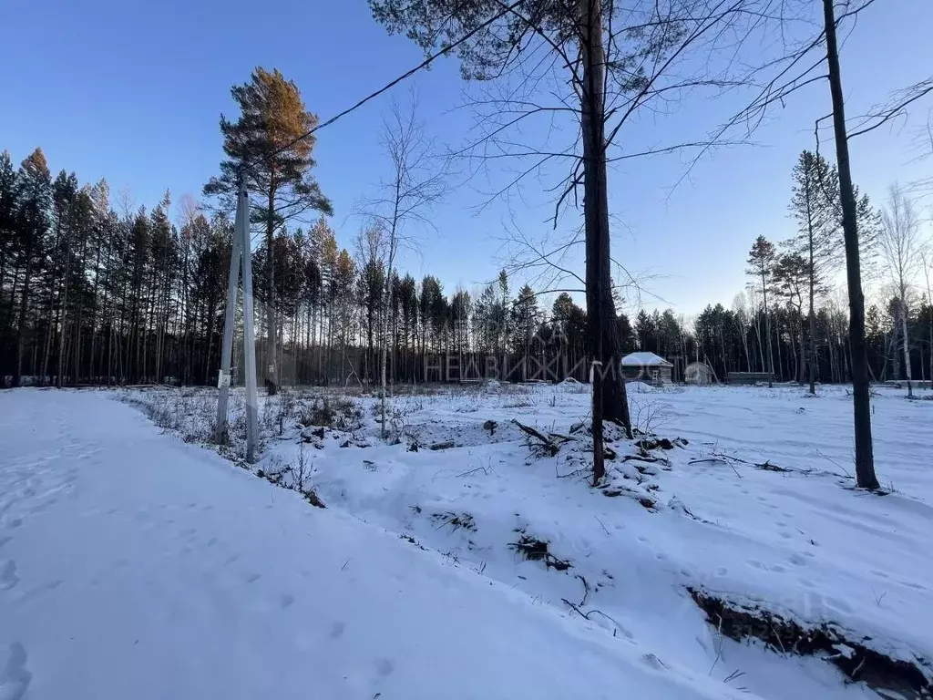 Участок в Тюменская область, Нижнетавдинский район, с. Тюнево ул. ... - Фото 0