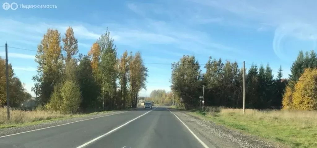 Участок в Псковский муниципальный округ, деревня Тупы, Сиреневая улица ... - Фото 2