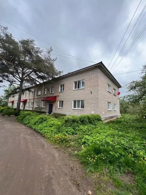 2-к кв. Псковская область, Порхов Мельничная наб., 1 (41.0 м) - Фото 1