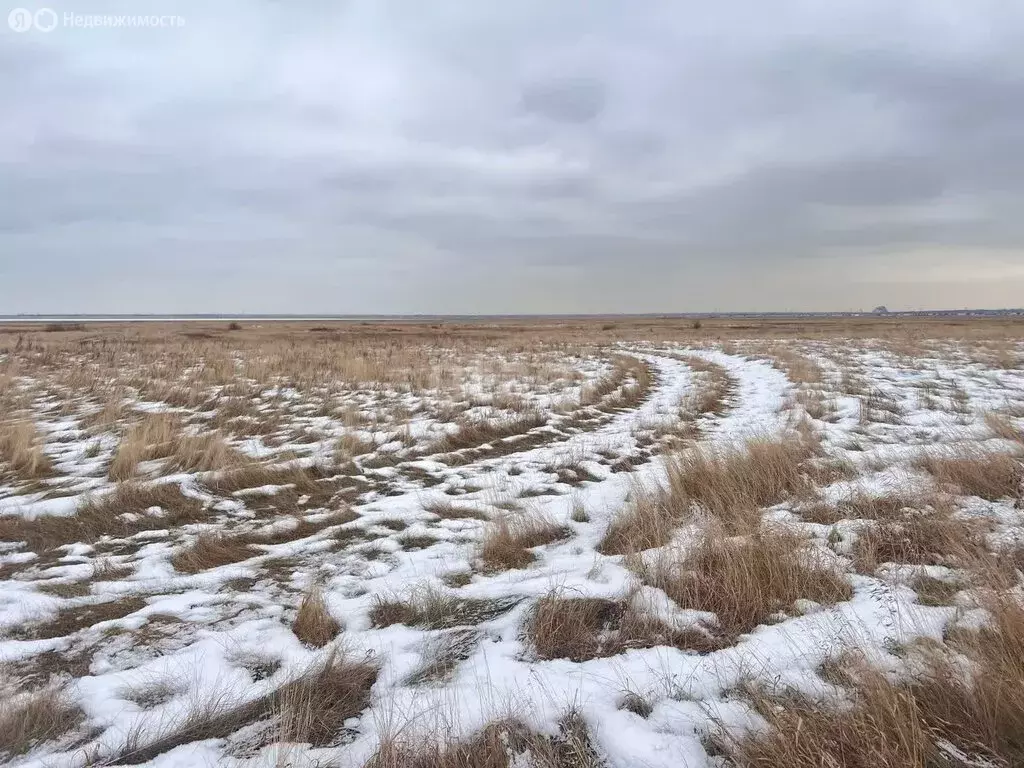 Участок в посёлок Петровский, Курская улица (7.4 м) - Фото 1