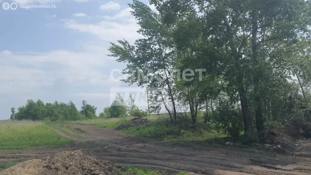 Участок в деревня Щетинка, 146 (9 м) - Фото 1