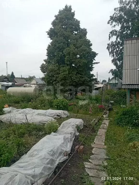 Дом в Искитимский район, Чернореченский сельсовет, садовое ... - Фото 0