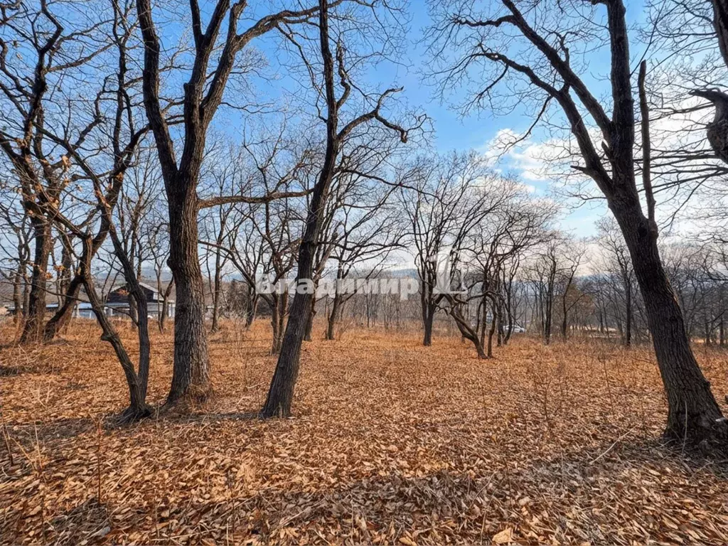 Участок в Приморский край, Находка Спортивная ул., 57А (1658.0 сот.) - Фото 1