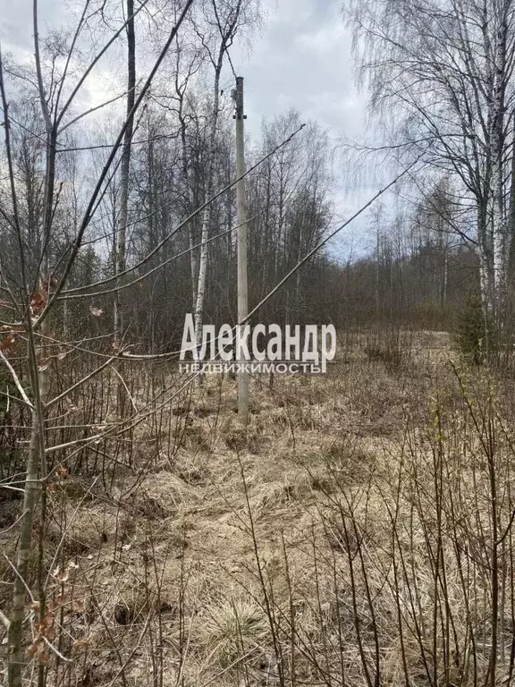 Участок в Ленинградская область, Приозерский район, Плодовское с/пос, ... - Фото 0