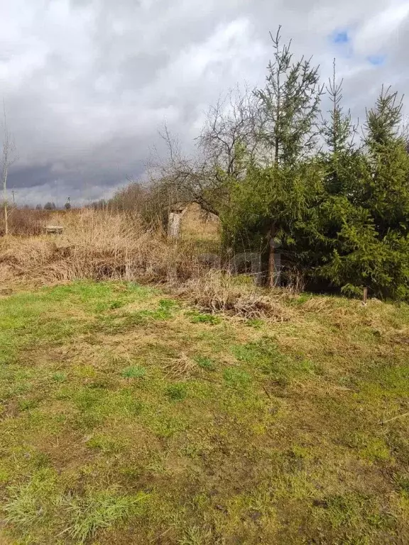 Участок в Вологодская область, Ягодка садоводческое товарищество  (4.7 ... - Фото 1