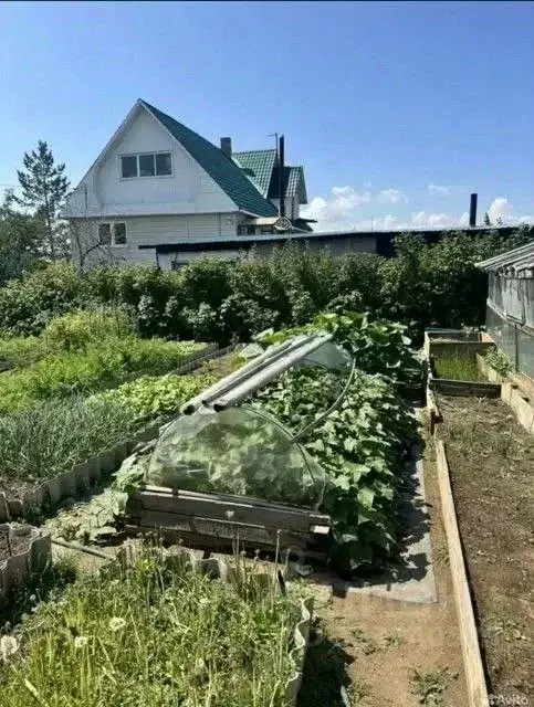 Участок в Забайкальский край, Читинский район, с. Засопка  (7.4 сот.) - Фото 1